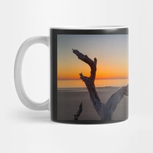 Color Driftwood Praise Mug